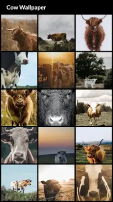 Cow Wallpapers android App screenshot 7